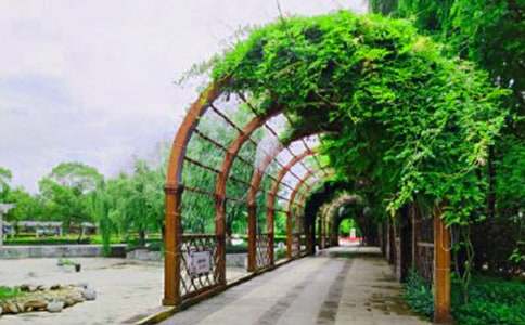 ʵ�õĹ�԰д������300��3ƪ