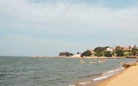 ����������800��