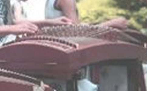 学古筝作文1000字