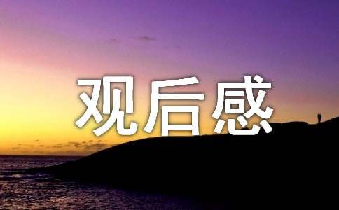 《神秘巨星》观后感