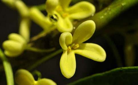 ����ѡ��������400�ּ���8ƪ