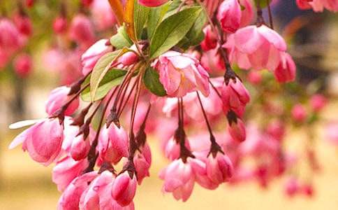 ���ں�������500�ֽ���5ƪ