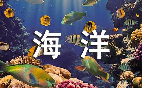 【精品】海洋作文300字集锦5篇