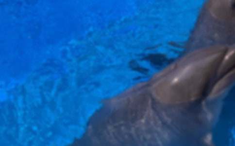 ����ɫ�ĺ��ൺ������д�ȫ[11ƪ]