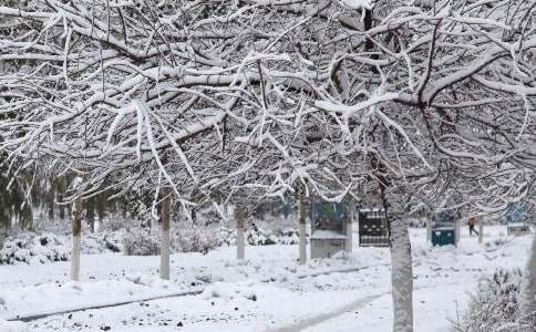 �칫¥Ӧ�Ժ�������Ӧ��Ԥ������ѡ8ƪ��