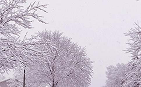 防范寒潮大风等极端恶劣天气应急方案最新