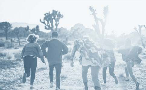 �����ѵı�ҵ����