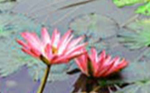 ���ر����ɻ�������400����ƪ