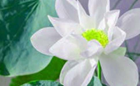 ʵ�õĺɻ����꼶���ļ���10ƪ