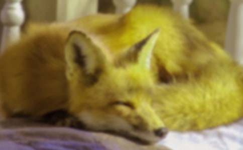 ���˲���ĺ���ְ֡������15ƪ