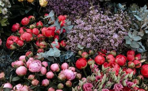 ���괴������Ȧ�İ�����ѡ60�䣩