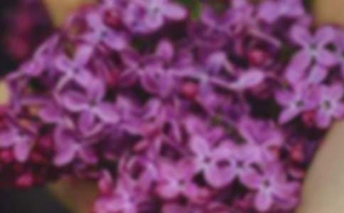 ������Ļ�������800�֣�ͨ��24ƪ��