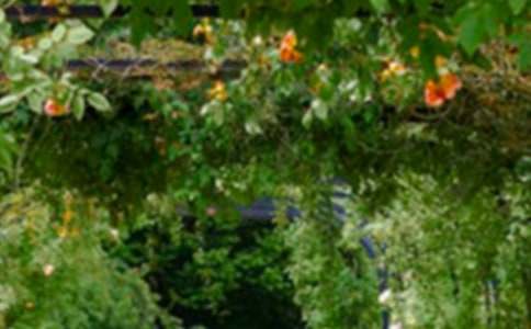 ������ǵĻ�԰����700��