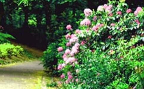 ��԰����600��(����)