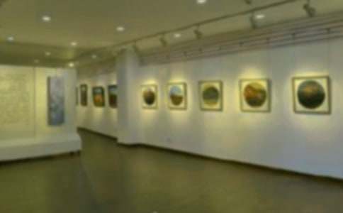 �黭չ�߻���