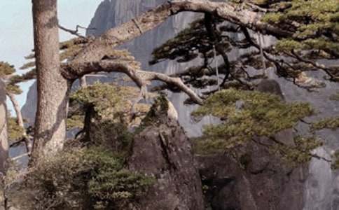 ���Ƽ�����ɽ�μ�����