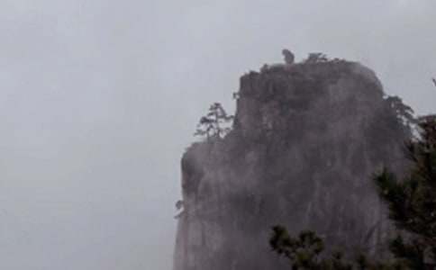 黄山游记作文【合集15篇】