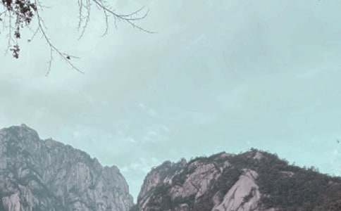 ��ѡ�μǻ�ɽ���ĺϼ�8ƪ