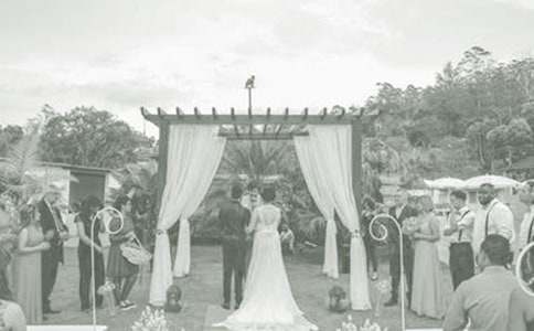 ���ɸ��׻����´�(��ѡ15ƪ)