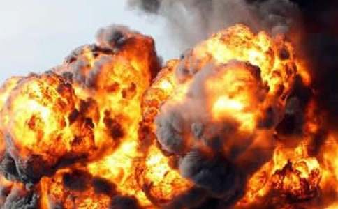 ��ѧ��Ԥ�������ĵ���᷶�ģ�ͨ��11ƪ��