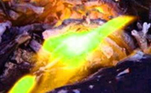 ����Ԥ���ĵ����