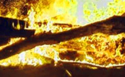 ����Ӧ����������