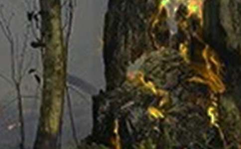 小学火灾事故应急预案