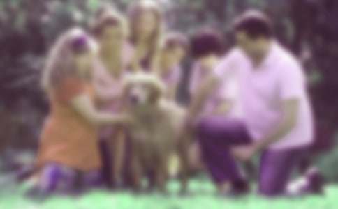 ��ͥ�������Ը�