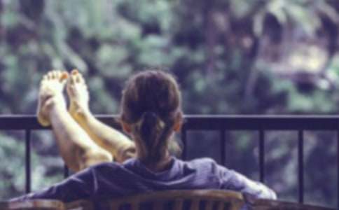 ��������600�־�����8ƪ��