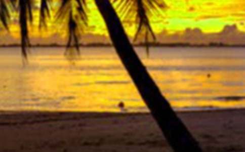 �����š������ռ�ģ�弯�ϰ�ƪ