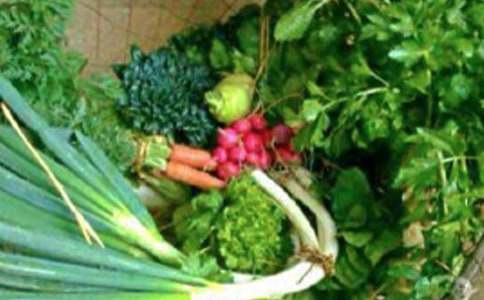 [��ѡ]�������������ƻ�