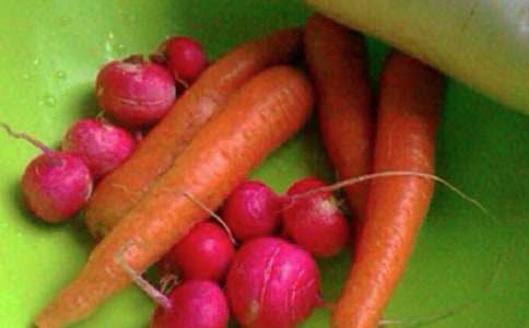 Сѧѧ�����ʽ�������ʵʩ����