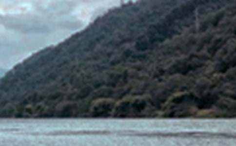 д��ɫ�����ġ��š�