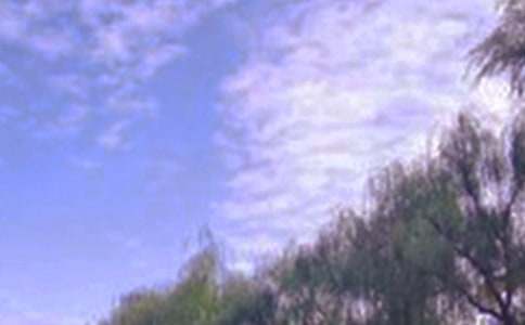 д��ɫ����(15ƪ)