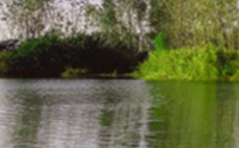 (����)��д��ɫ���ģ�80ƪ��