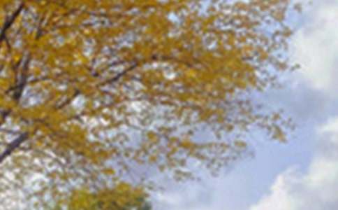 ���꼶������дһ����ɫ