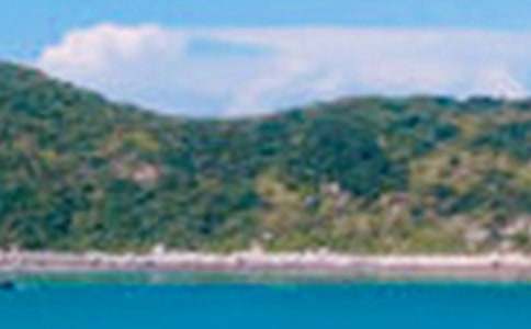 ��ɫд������