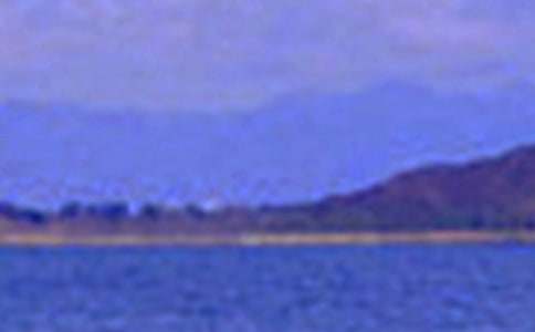 д��ɫ�����ģ�ͨ�ã�