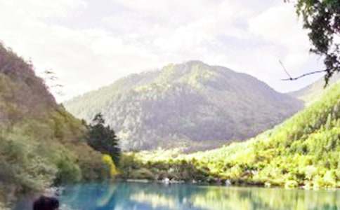 ��կ���μ���������