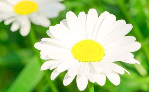 ���꼶��д�ջ�������