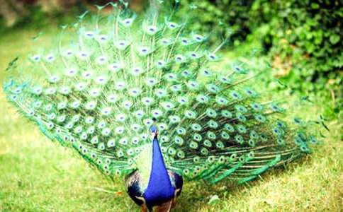 ���ڿ�ȸ���������300��7ƪ