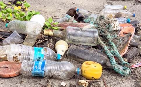 乡镇农村生活垃圾治理方案(精选13篇)