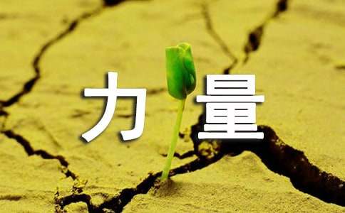 ��΢����������800��