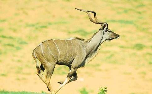 ����ľ������