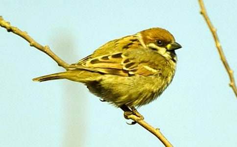 ������ȸ���и�15ƪ