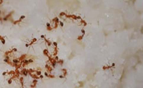 ����ѡ���������꼶���ļ���ʮƪ