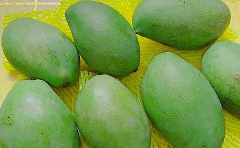 �������꼶â������300�֣���ѡ16ƪ��