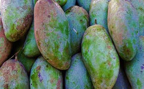 �������꼶â������300�֣���ѡ27ƪ��