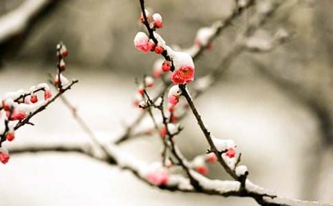 ���꼶÷������300��3ƪ