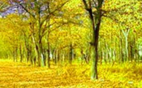 �����������700��